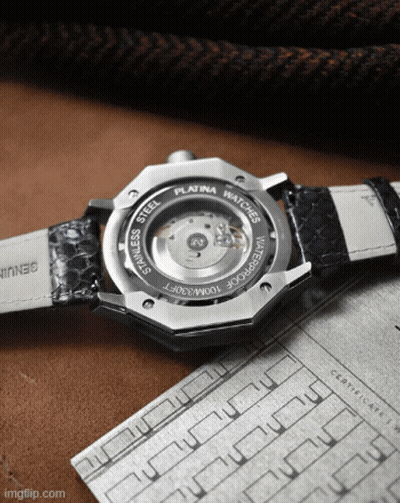 Stainless Steel Platina Watch Back GIF
