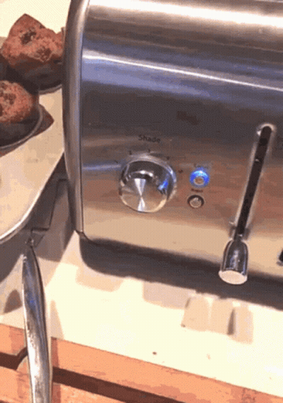 Stainless Steel Toaster With Shade Light GIF
