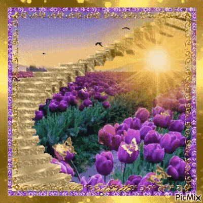 Staircase Leading To Purple Tulip Field GIF