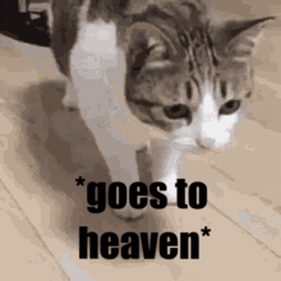 Stairs To Heaven With Nikki GIF