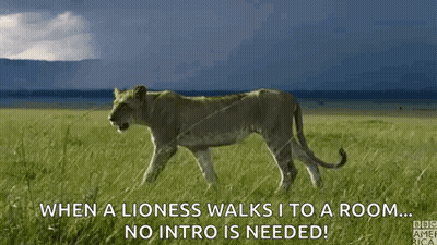 Stalk Walking GIF