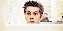 Stalker Gets Caught Teen Wolf GIF