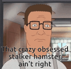 Stalker Hamster Ain't Right GIF