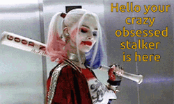Stalker Harley Quinn GIF