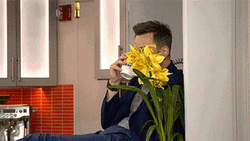 Stalking Joel McHale Sneaking GIF