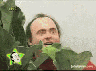 Stalking Weird GIF
