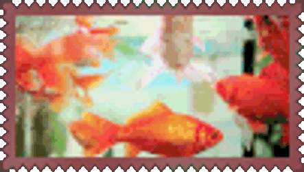 Stamp Fish Sticker GIF