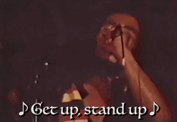 Stand Up Bob Marley Singing GIF