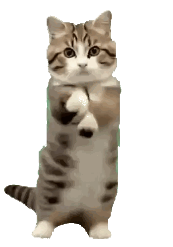 Standing Cat On Hind Legs Sticker