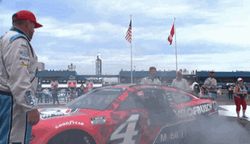 Standing In The Race Car GIF