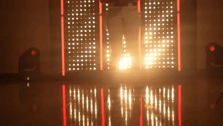 Stanford Softball Camryn Carmouche GIF