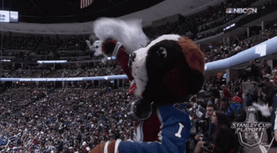 Stanley Cup Playoffs Mascot Dancing GIF