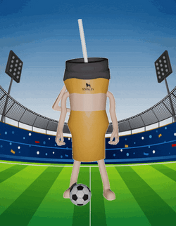 Stanley Tumbler Playing Soccer GIF