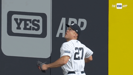 Stanton Catches Ball Hits Wall GIF