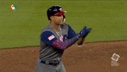 Stanton On Field Points Someone GIF