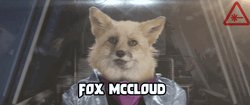 Star Fox Fox McCloud IRL GIF