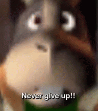 Star Fox Peppy Hare Hang On GIF