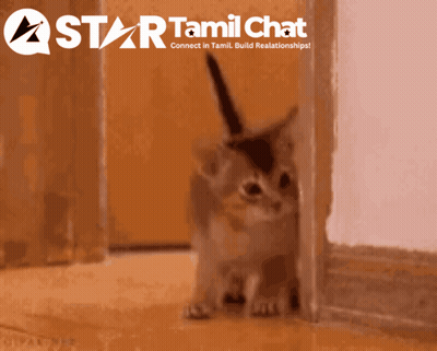 Star Tamil Chat Logo With Cat GIF