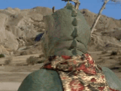 Star Trek Chinchilla GIF