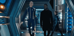 Star Trek: Discovery Boom Roasted GIF