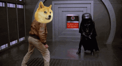 Star Wars Doge  GIF