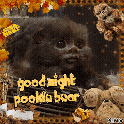 Star Wars Greeting Card With Pookie Bear GIF