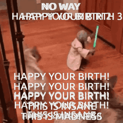 Star Wars Happy Birthday Yoda Fighting Dogs GIF