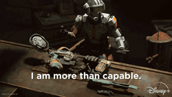 Star Wars I Am More Than Capable GIF