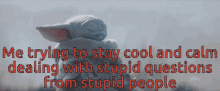 Star Wars Mandalorian Baby Yoda Stupid People GIF
