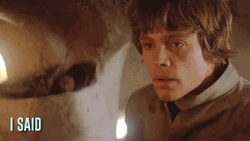 Star Wars Yoda I Said Seagulls Stop It Now GIF