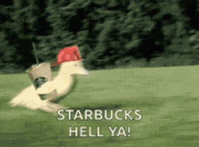 Starbucks Cup With Green Logo GIF