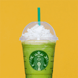 Starbucks Flavor Selections Video Clip GIF