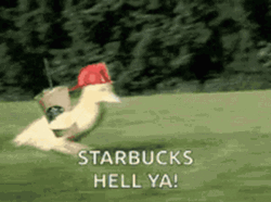 Starbucks Hell Yeah Speeding Duck GIF