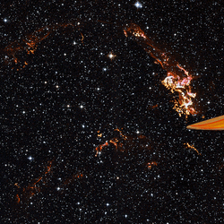 Starbucks Surfing In Space GIF