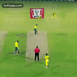 Starc Rocks De Kock Shocks.Gif GIF
