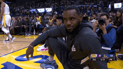 Stare Down NBA Legend Lebron James GIF