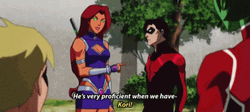 Starfire And Robin Arguing GIF