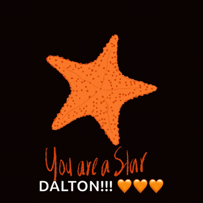 Starfish You Are A Star Dalton GIF