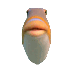Staring Fish Sticker GIF