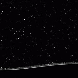 Starry Night Featuring Growing Tree GIF