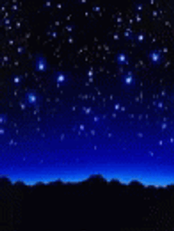 Starry Night Sky With Shimmering Stars GIF