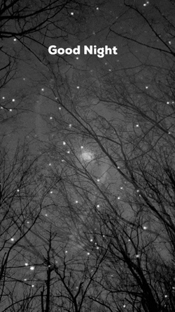 Starry Sky Outside Goodnight GIF