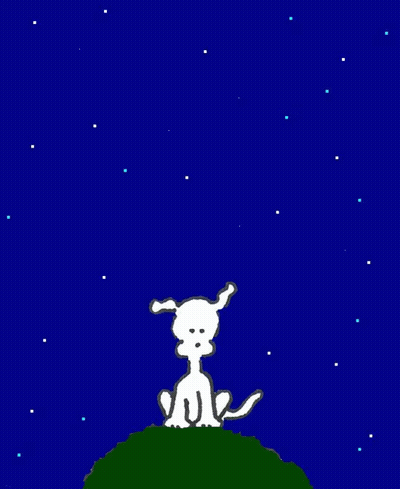 Star GIFs