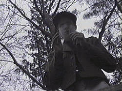 Start Of The Evil Dead GIF