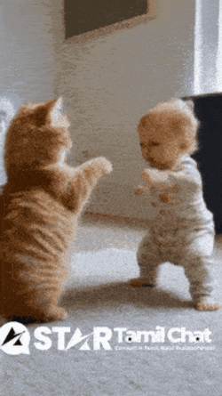 Startamilchat Sanjay Chat GIF