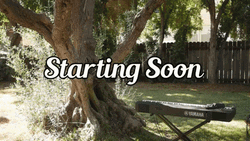 Starting Soon Big Tree Man Appeared GIF