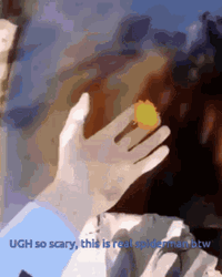 Startling Black Spider Jump Scare GIF