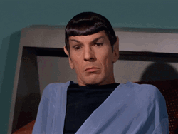 Startrek Spock Has Doubts GIF