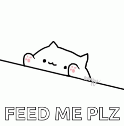 Starving Cat Feed Me Please GIF