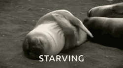 Starving Sea Animal GIF